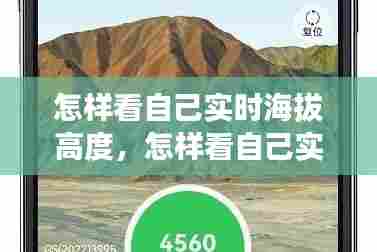 怎样看自己实时海拔高度,怎样看自己实时海拔高度和高度