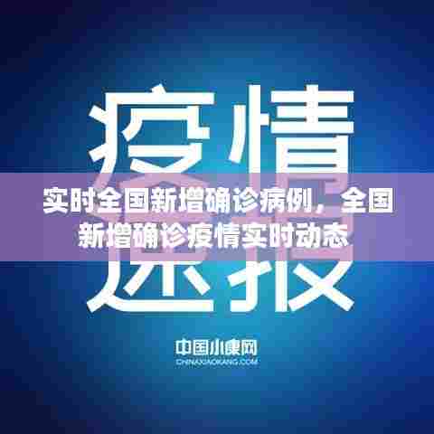 实时全国新增确诊病例,全国新增确诊疫情实时动态