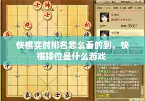快棋实时排名怎么看的到,快棋排位是什么游戏