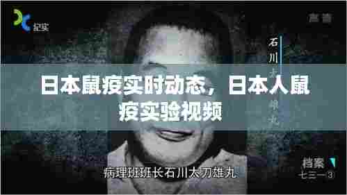 日本鼠疫实时动态,日本人鼠疫实验视频