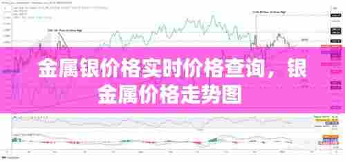 金属银价格实时价格查询,银金属价格走势图