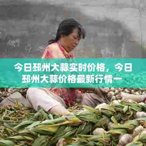 今日邳州大蒜实时价格,今日邳州大蒜价格最新行情一