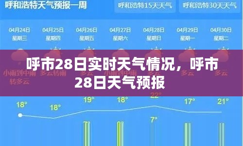 呼市28日实时天气情况,呼市28日天气预报