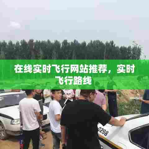在线实时飞行网站推荐,实时飞行路线