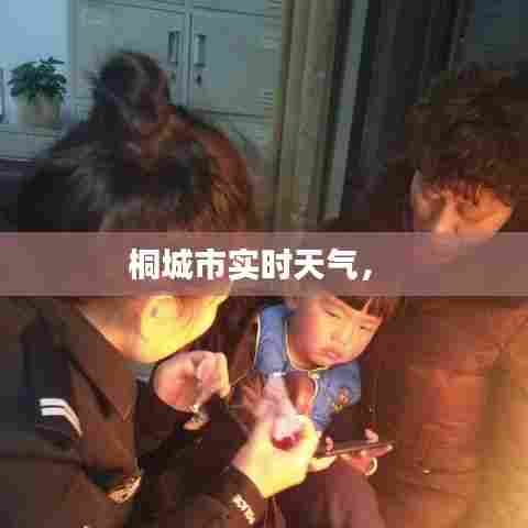 桐城市实时天气,