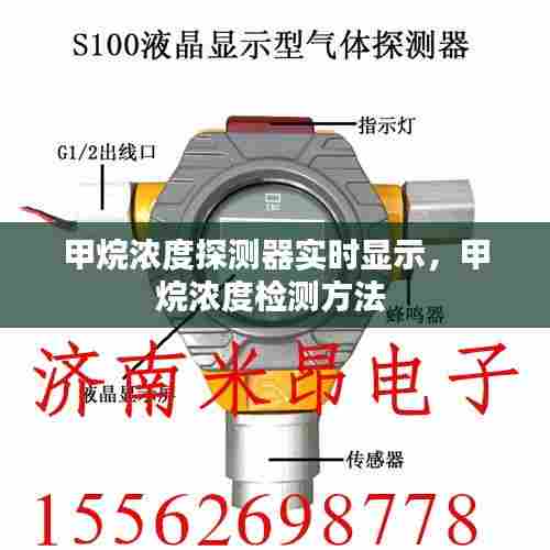 甲烷浓度探测器实时显示，甲烷浓度检测方法 