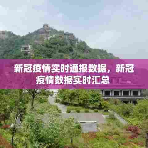 新冠疫情实时通报数据,新冠疫情数据实时汇总