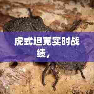 虎式坦克实时战绩， 