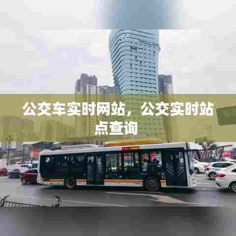 公交车实时网站,公交实时站点查询