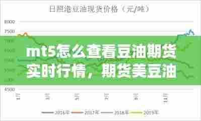 mt5怎么查看豆油期货实时行情，期货美豆油代码 