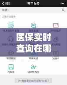 医保实时查询在哪里看,医保查询在什么地方