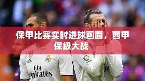 保甲比赛实时进球画面,西甲保级大战