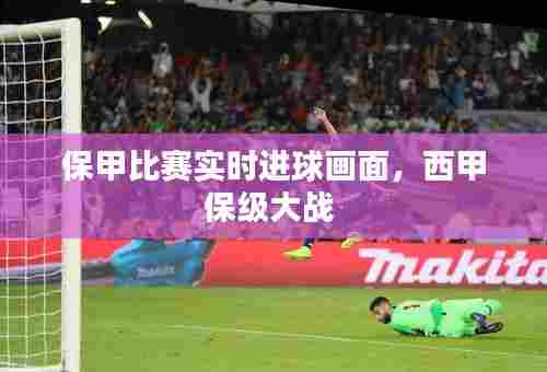 保甲比赛实时进球画面,西甲保级大战