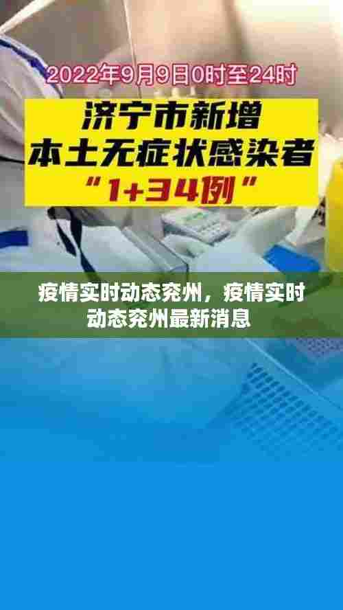 疫情实时动态兖州,疫情实时动态兖州最新消息