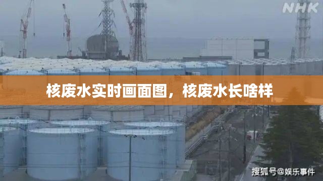 飞鸟依人 第8页