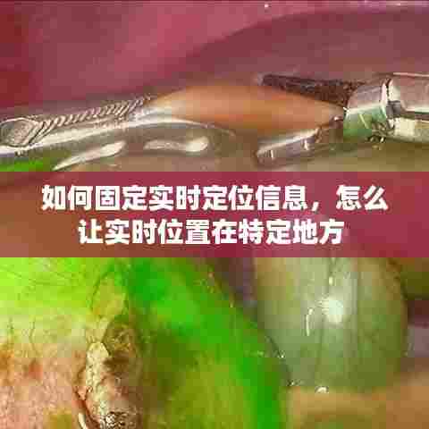 如何固定实时定位信息,怎么让实时位置在特定地方