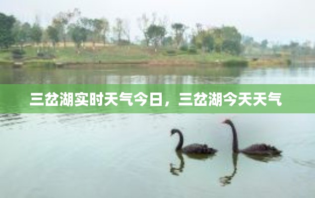 三岔湖实时天气今日,三岔湖今天天气