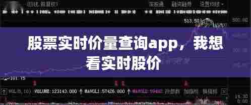 股票实时价量查询app,我想看实时股价