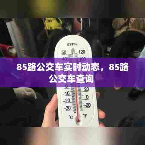 85路公交车实时动态，85路公交车查询 