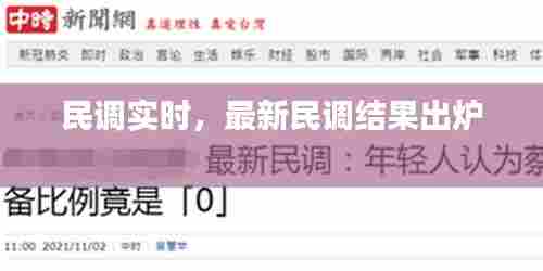 民调实时,最新民调结果出炉