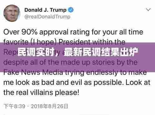 民调实时,最新民调结果出炉