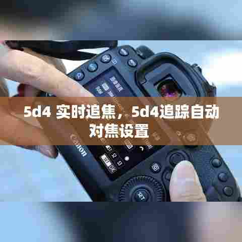 5d4 实时追焦，5d4追踪自动对焦设置 