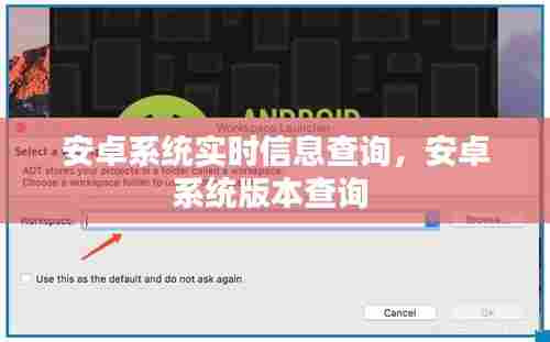 安卓系统实时信息查询,安卓系统版本查询