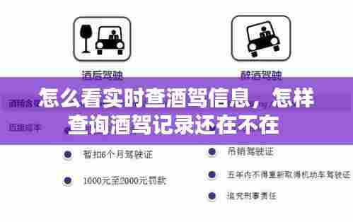 怎么看实时查酒驾信息,怎样查询酒驾记录还在不在