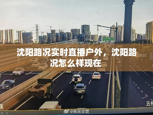 沈阳路况实时直播户外,沈阳路况怎么样现在