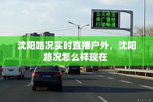 沈阳路况实时直播户外,沈阳路况怎么样现在