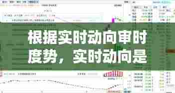 根据实时动向审时度势,实时动向是什么意思