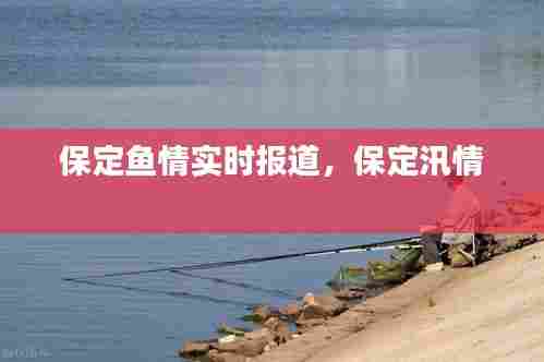 保定鱼情实时报道，保定汛情 