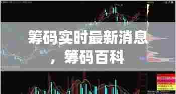 筹码实时最新消息，筹码百科 