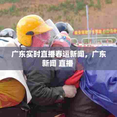 广东实时直播春运新闻，广东新闻 直播 