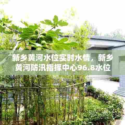 新乡黄河水位实时水情,新乡黄河防汛指挥中心96.8水位线