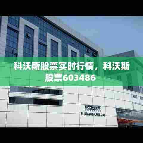 科沃斯股票实时行情，科沃斯股票603486 