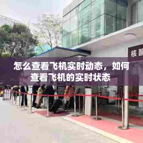 怎么查看飞机实时动态,如何查看飞机的实时状态
