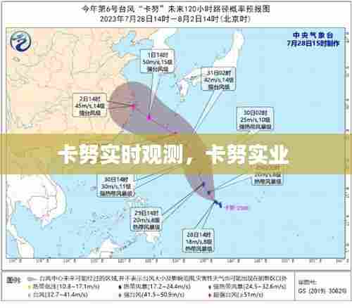 卡努实时观测，卡努实业 