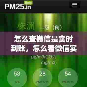 怎么查微信是实时到账,怎么看微信实时到账