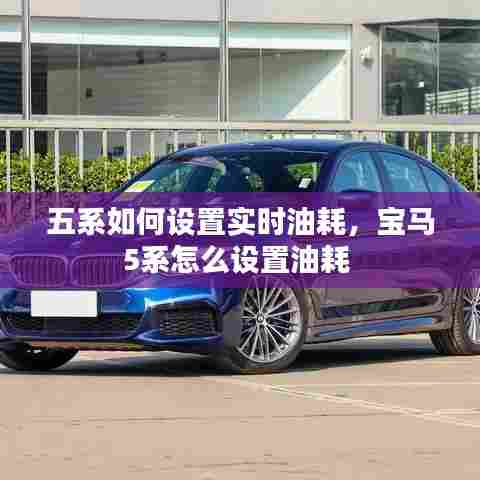 五系如何设置实时油耗,宝马5系怎么设置油耗