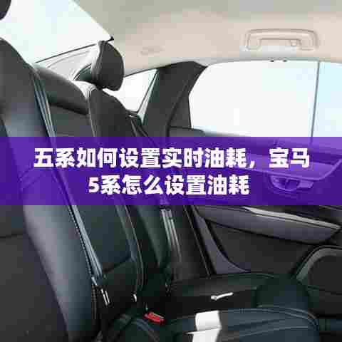 五系如何设置实时油耗,宝马5系怎么设置油耗