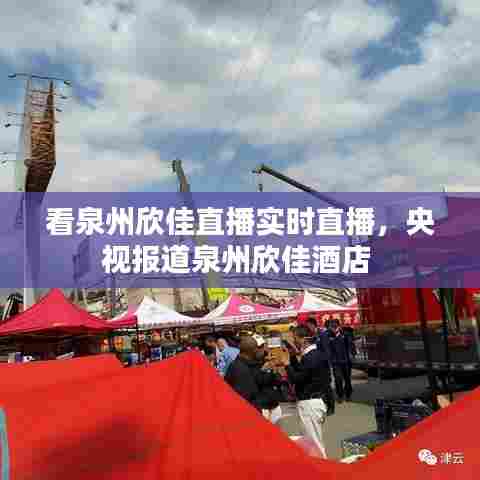 看泉州欣佳直播实时直播，央视报道泉州欣佳酒店 