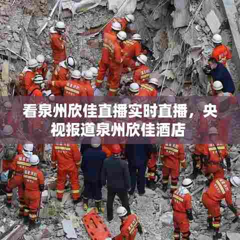 看泉州欣佳直播实时直播,央视报道泉州欣佳酒店