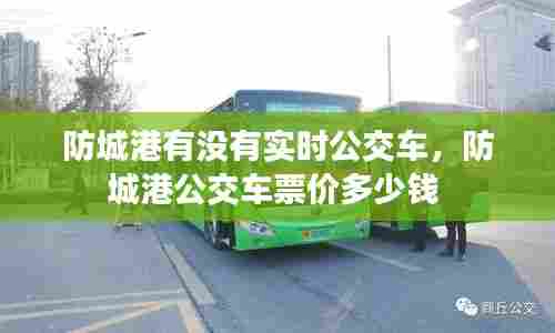 防城港有没有实时公交车,防城港公交车票价多少钱