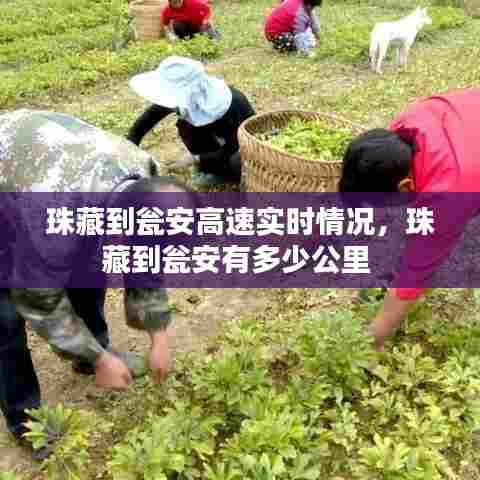 珠藏到瓮安高速实时情况，珠藏到瓮安有多少公里 