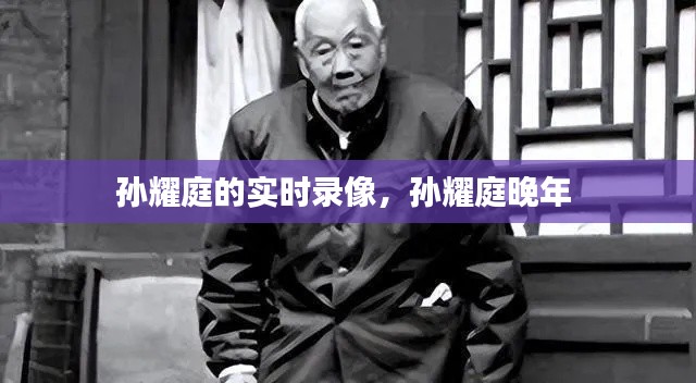 孙耀庭的实时录像,孙耀庭晚年