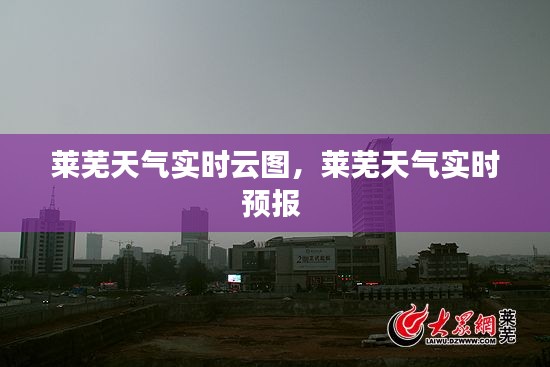 莱芜天气实时云图,莱芜天气实时预报