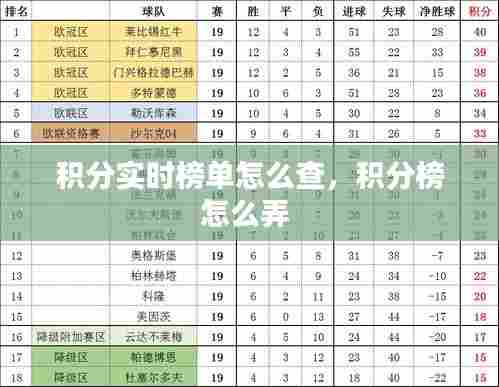 积分实时榜单怎么查,积分榜怎么弄