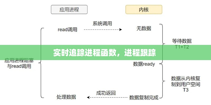实时追踪进程函数,进程跟踪