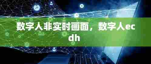 数字人非实时画面,数字人ecdh